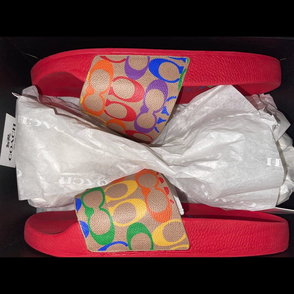 Rainbow Coach slides